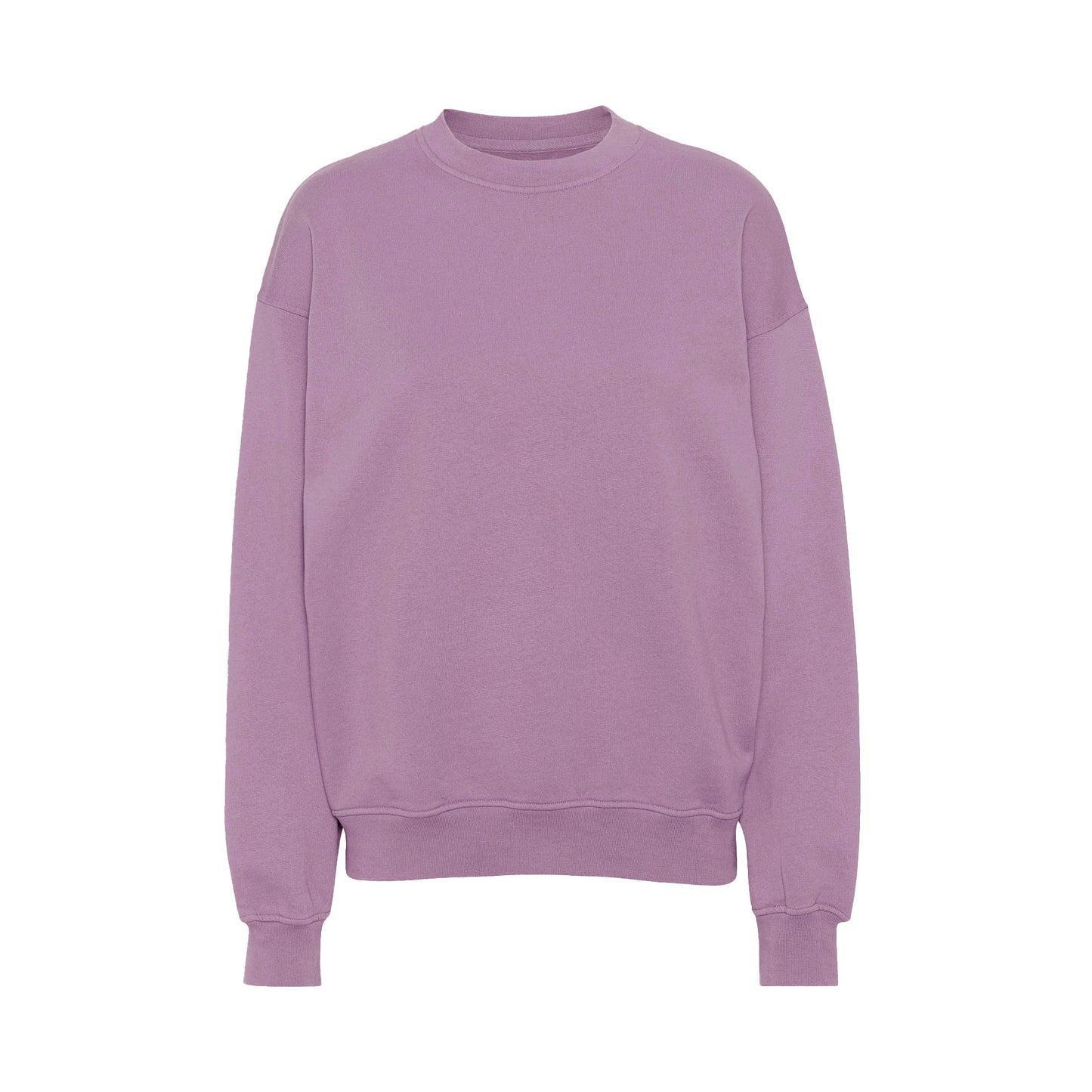 Colourful Standard Oversized Crew Sweat