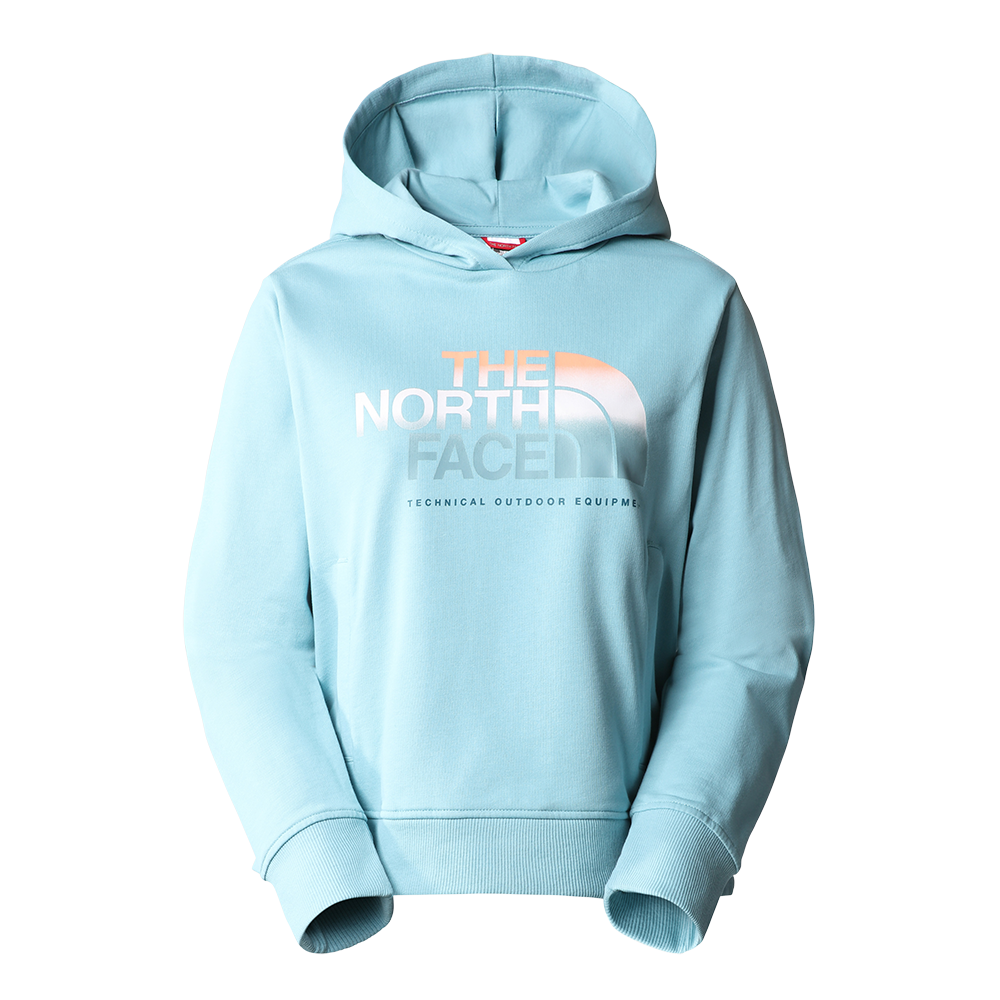 The North Face D2 Graphic Crop Hoodie