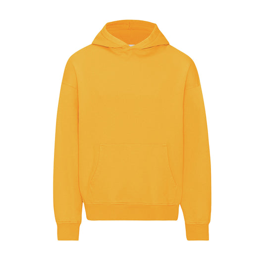 Colourful Standard Oversized Hoodie