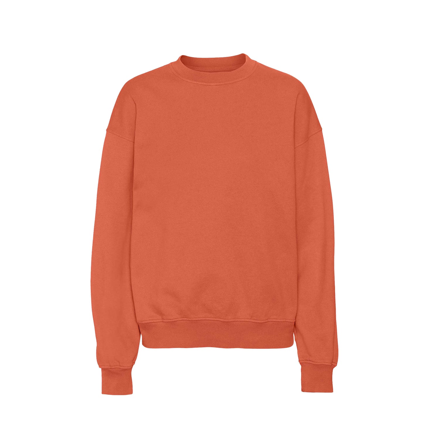 Colourful Standard Oversized Crew Sweat